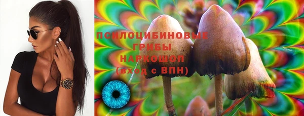 дживик Кулебаки