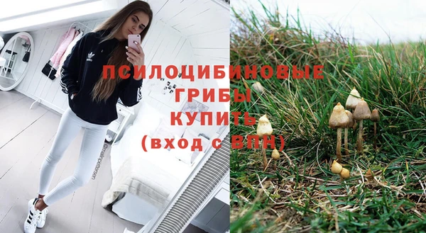 дживик Кулебаки